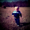 jules_field